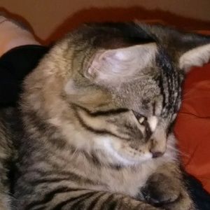 Meet your Posher, Aaron